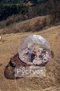 LAF-VB18-024-1920px-Py.jpg