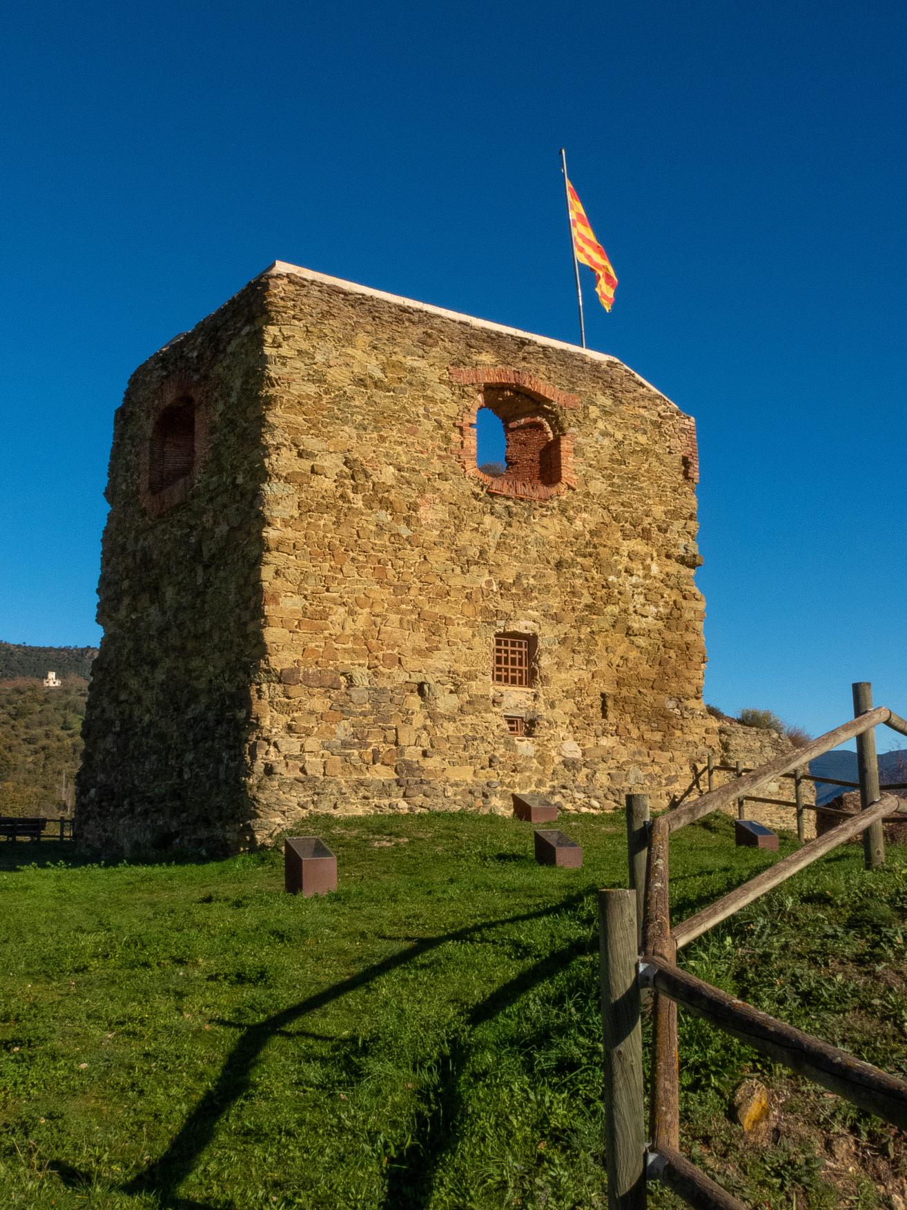 Miniatura 6